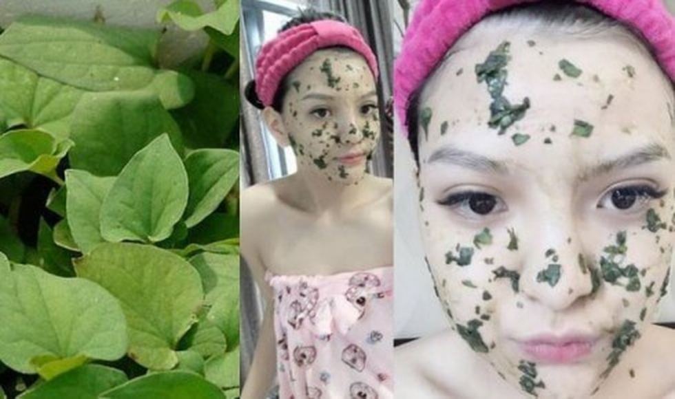 Tẩy tế bào chết tự nhiên da mặt với rau diếp cá